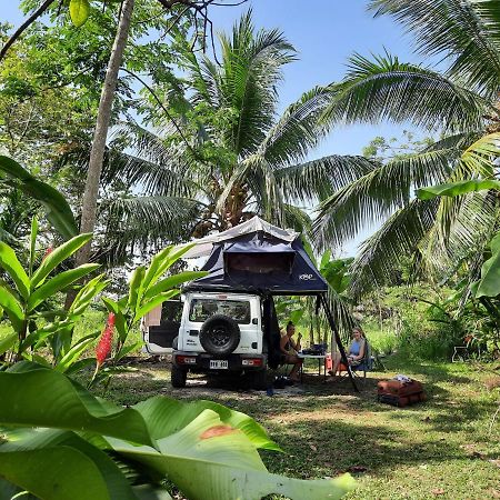 La Munequita Lodge 1 - Culture & Nature Experience Palmar Norte Eksteriør billede