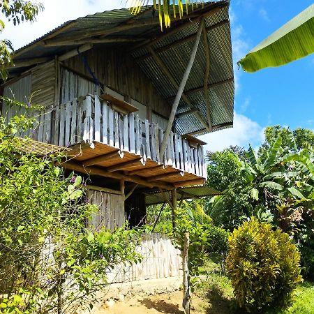 La Munequita Lodge 1 - Culture & Nature Experience Palmar Norte Eksteriør billede