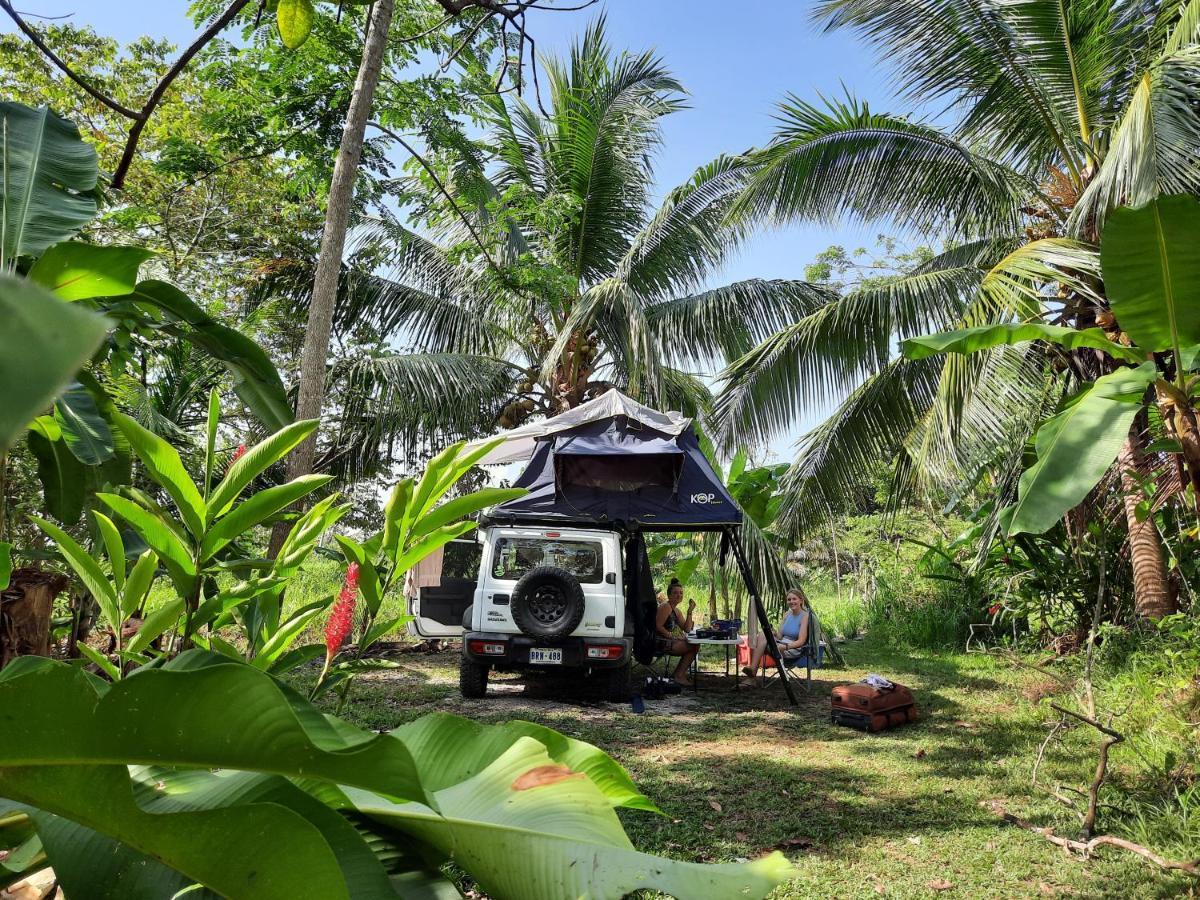La Munequita Lodge 1 - Culture & Nature Experience Palmar Norte Eksteriør billede