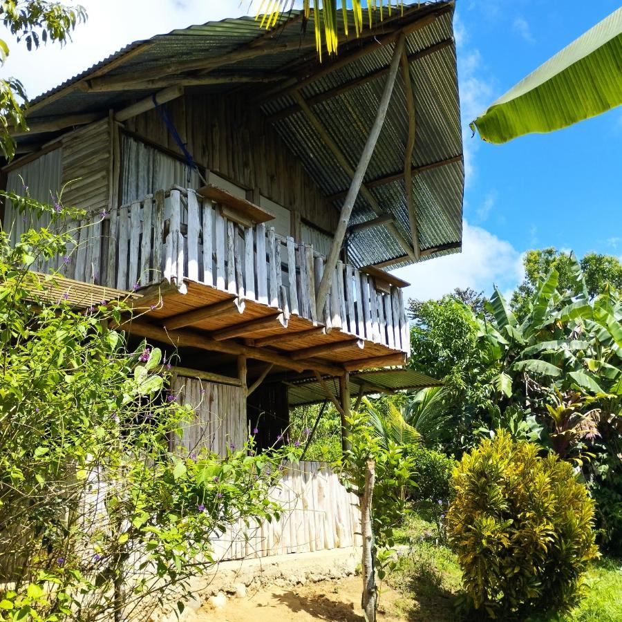 La Munequita Lodge 1 - Culture & Nature Experience Palmar Norte Eksteriør billede