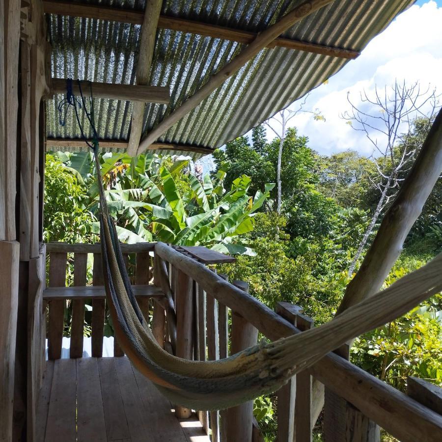 La Munequita Lodge 1 - Culture & Nature Experience Palmar Norte Eksteriør billede