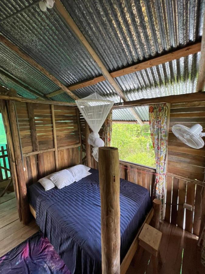 La Munequita Lodge 1 - Culture & Nature Experience Palmar Norte Eksteriør billede